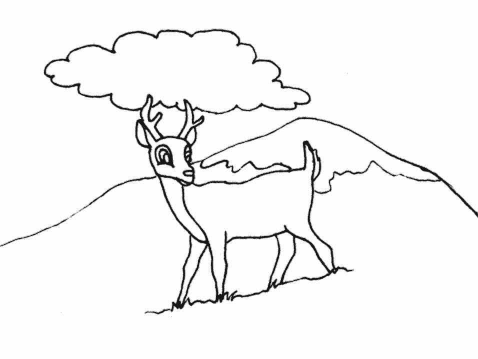 Un chevreuil dans un paysage forestier
