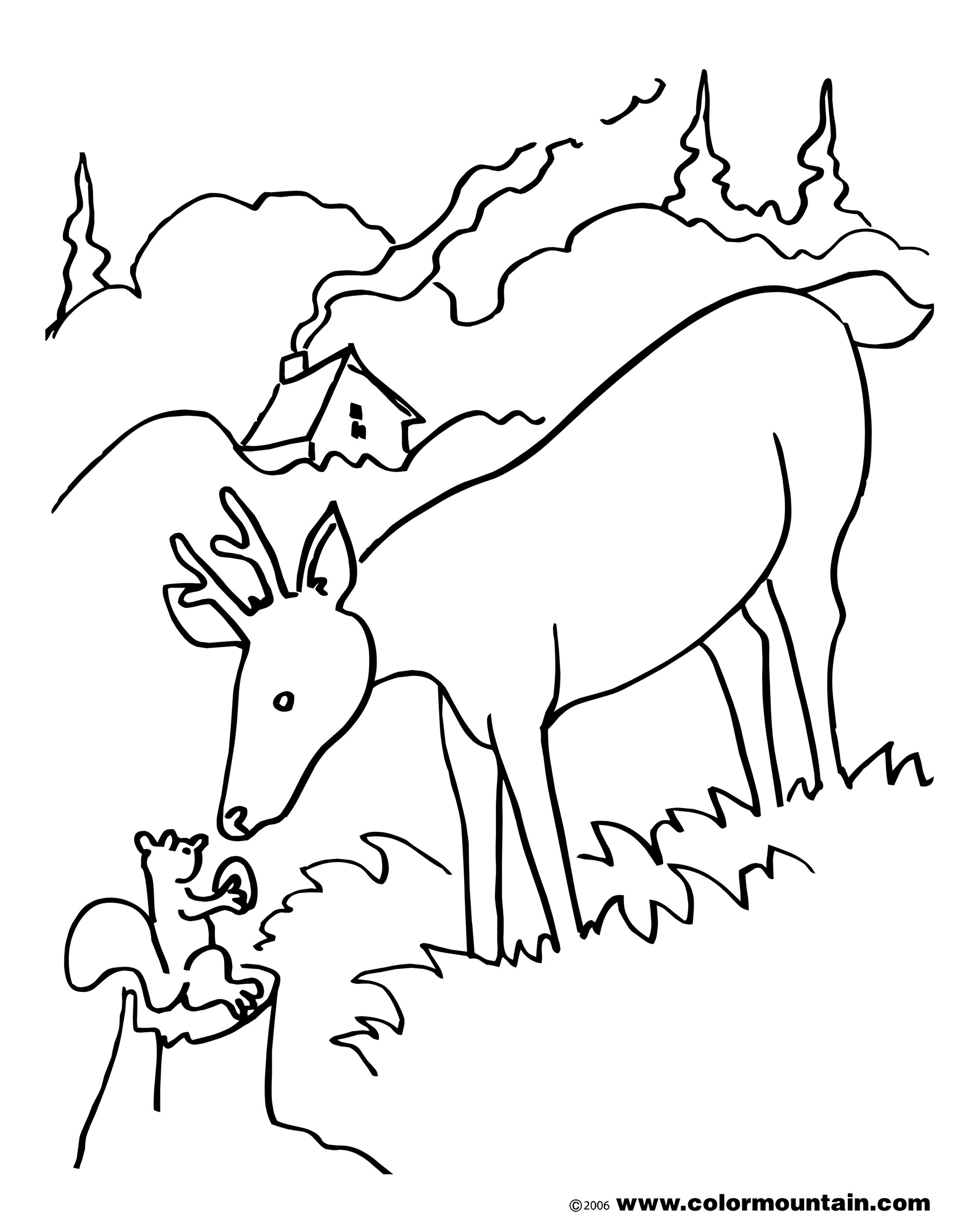 Coloriage d'un chevreuil dans son habitat naturel