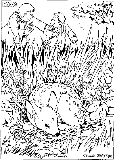 Coloriage d'un chevreuil paisible dans son habitat naturel