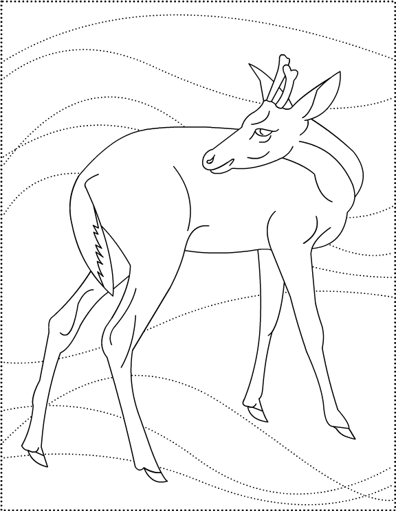 Coloriage d'un chevreuil paisiblement installé dans la forêt