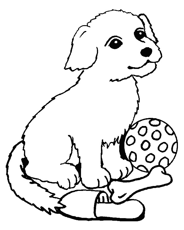 Un chien joyeux jouant dans un jardin fleuri