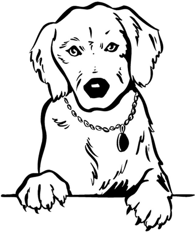 Coloriage d'un chien joyeux dans un environnement naturel