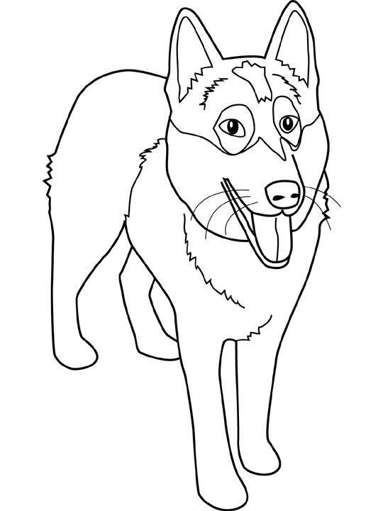 Coloriage d'un chien jouant dans un jardin