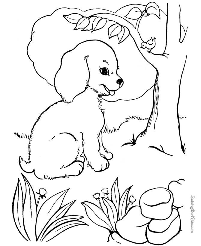 Un chien joyeux jouant dans un jardin ensoleillé