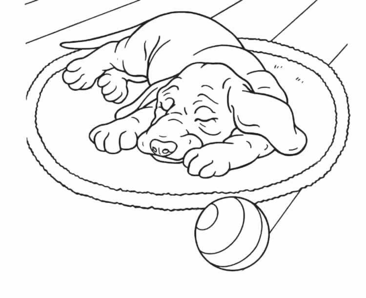 Un chien joyeux jouant dans un jardin verdoyant