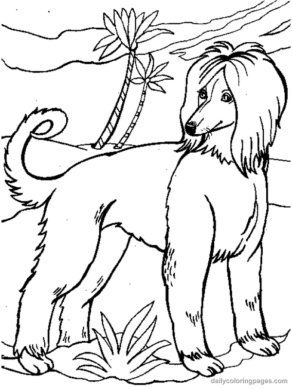 Un chien joyeux jouant dans un jardin fleuri