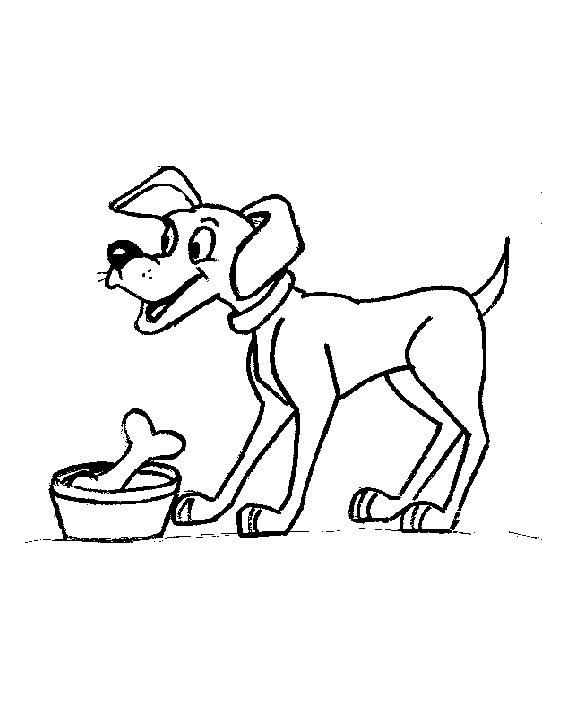 Un chien joyeux dans un environnement naturel