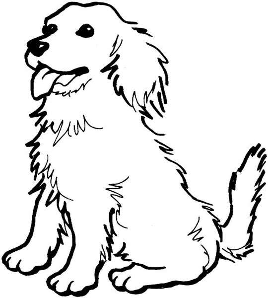 Un chien joyeux jouant dans un jardin verdoyant