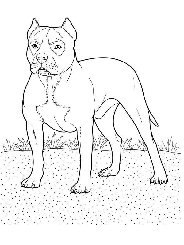 Un chien joyeux dans un paysage de jardin
