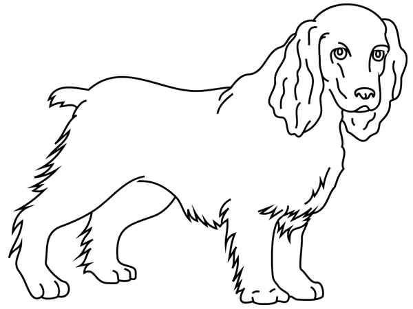 Un chien joyeux jouant dans un jardin verdoyant