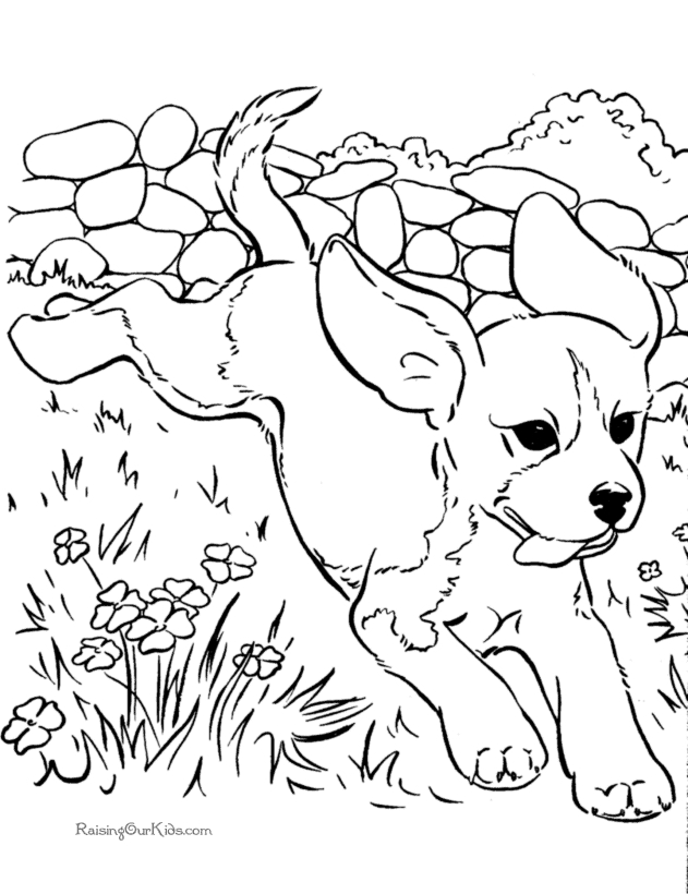 Un chien joyeux jouant dans un jardin ensoleillé