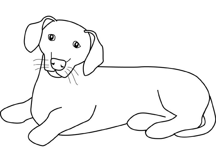 Un chien joyeux courant dans un jardin verdoyant