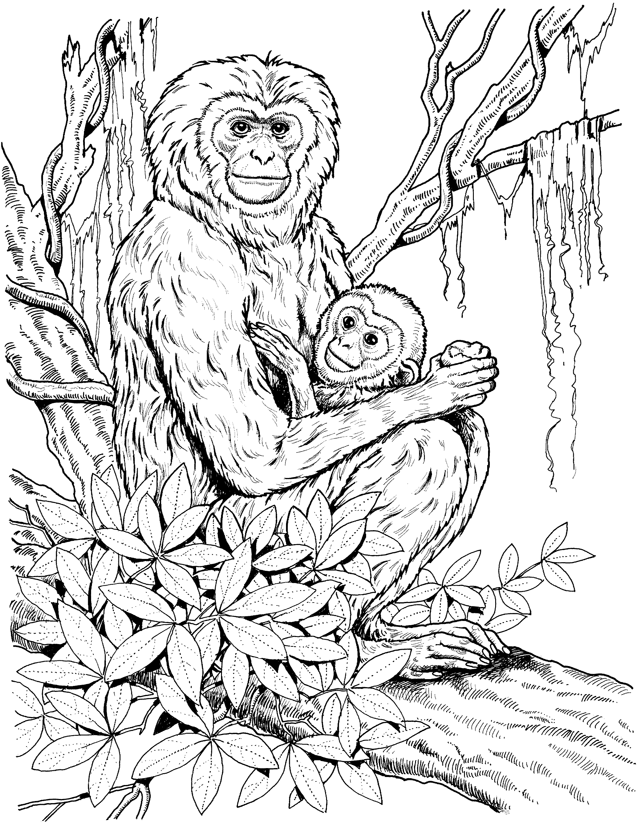 Chimpanzé amusé en pleine exploration d'une jungle luxuriante