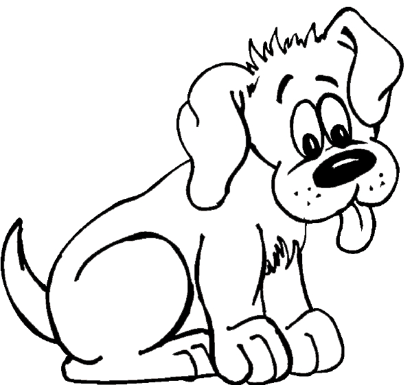 Un chiot joueur sur un fond simple