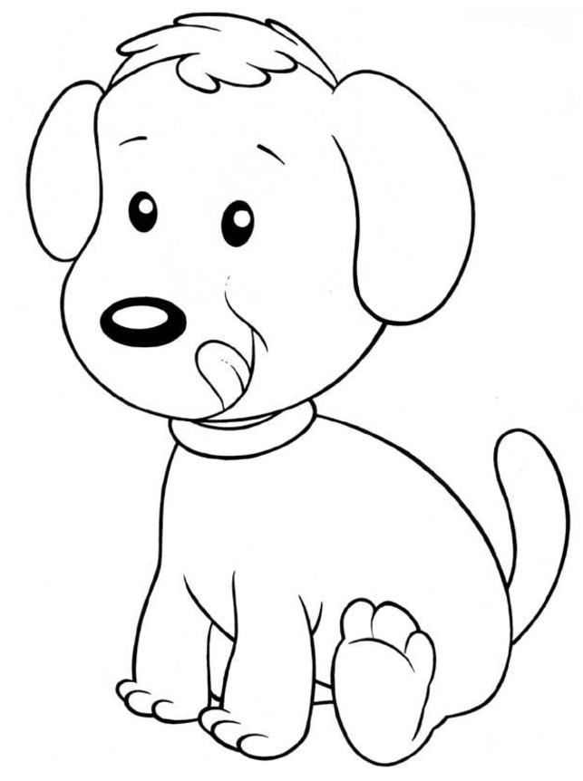 Un chiot mignon en pleine exploration sur un tapis moelleux