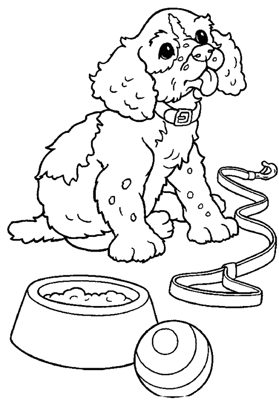 Un chiot joueur sur un fond simple et apaisant