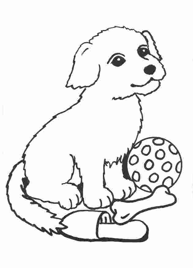 Un chiot joyeux jouant dans un jardin ensoleillé