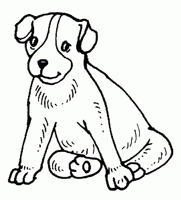 Chiot espiègle jouant dans un jardin