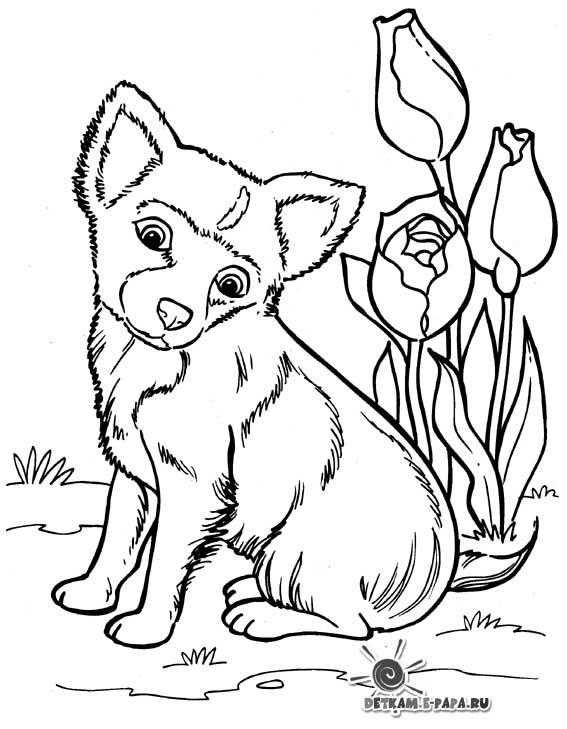 Un chiot joyeux jouant dans un jardin verdoyant