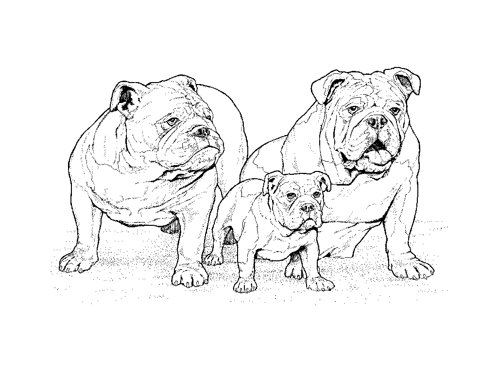 Coloriage d'un chiot mignon assis sur l'herbe