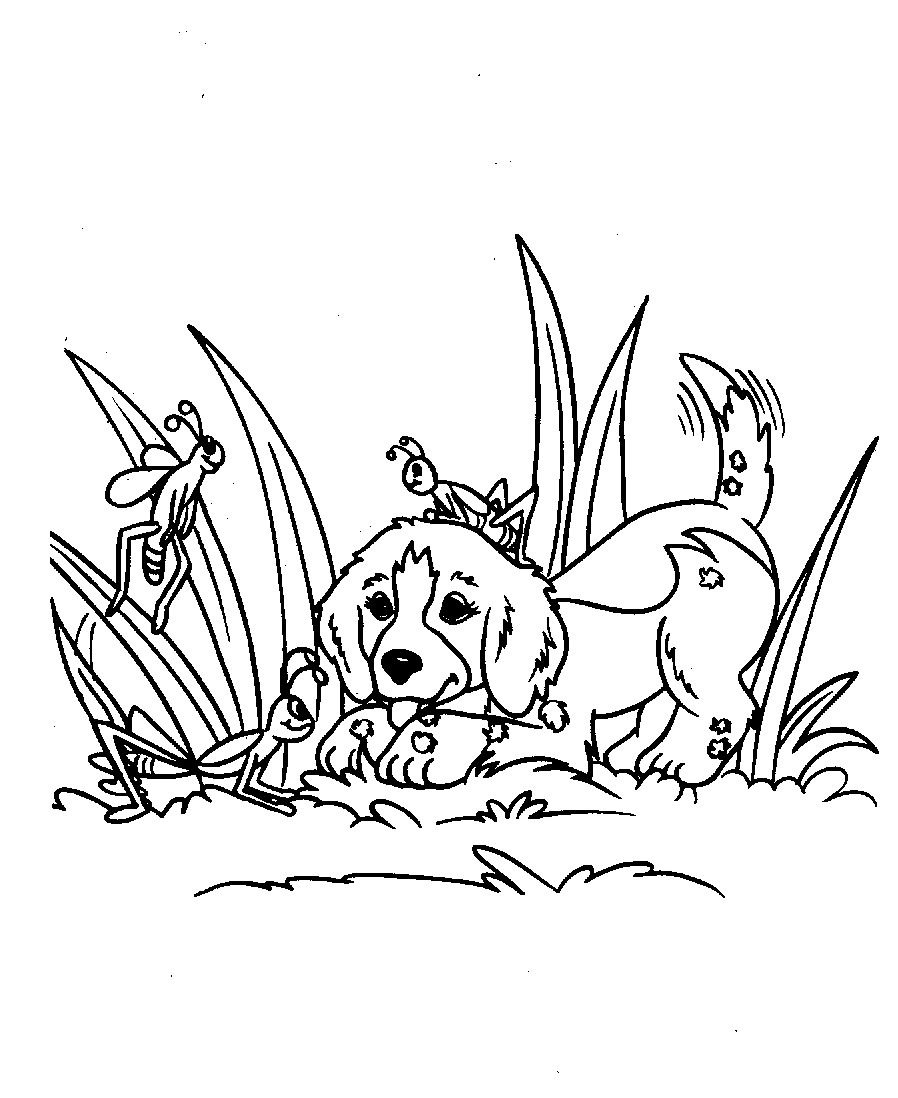 Un chiot joyeux se reposant dans l'herbe