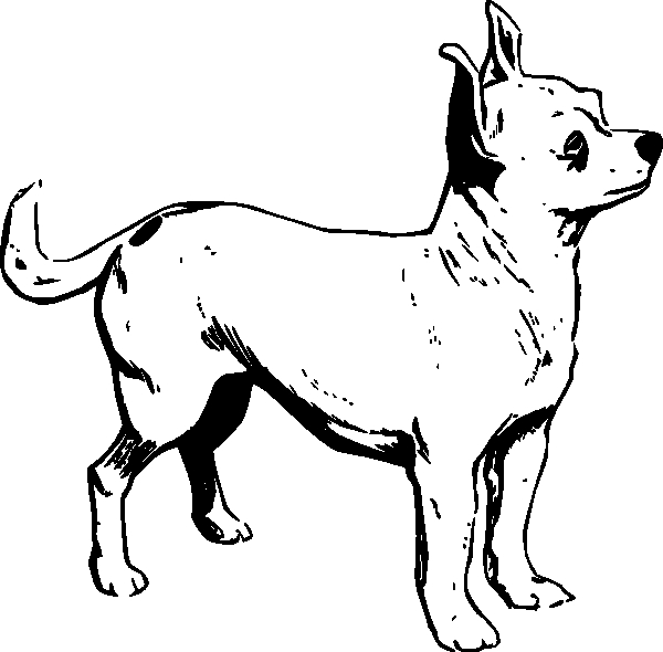 Un chiot joueur dans un paysage de jardin