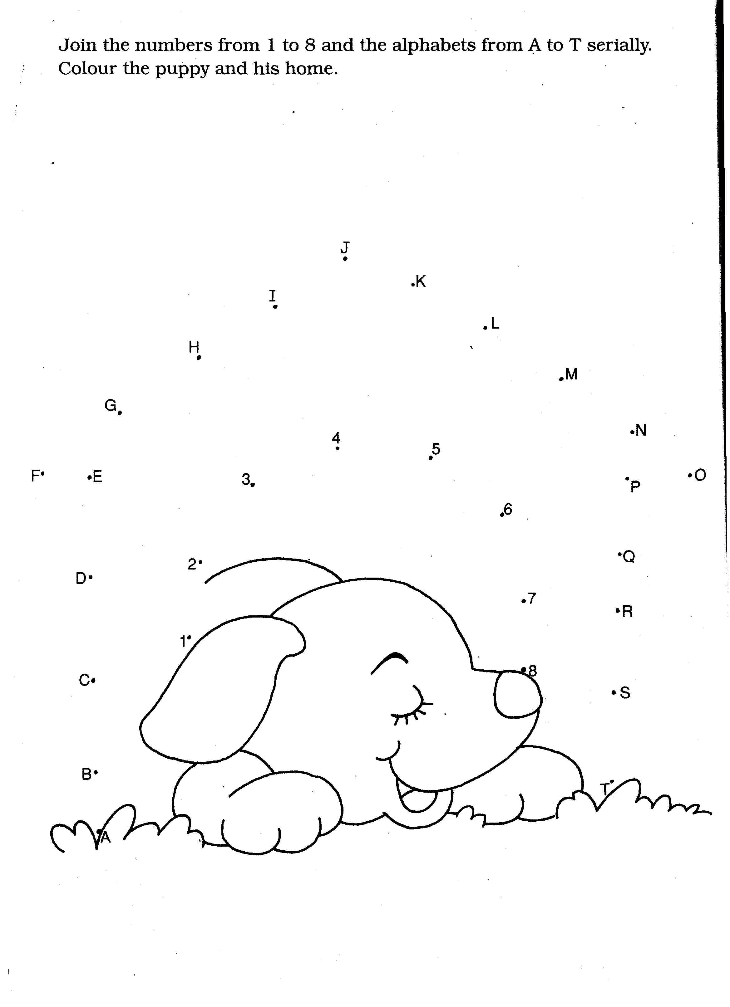 Un chiot joyeux jouant dans un jardin verdoyant