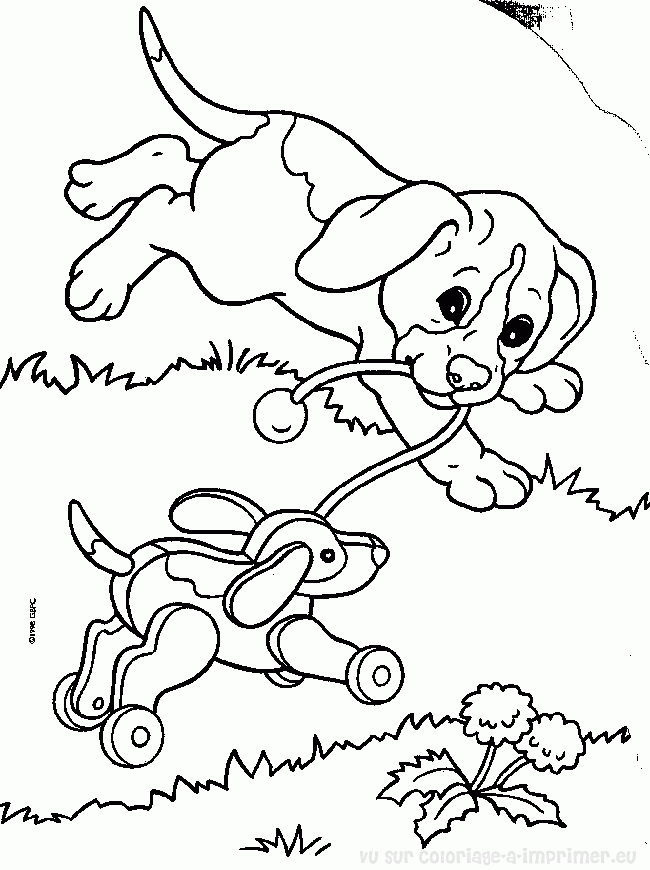 Un chiot espiègle jouant dans un champ de fleurs