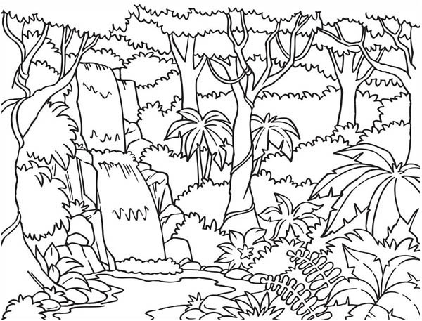 Coloriage d'une chute d'eau entourée de végétation luxuriante