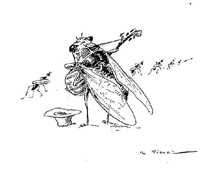 Coloriage d'une cigale posée sur une feuille
