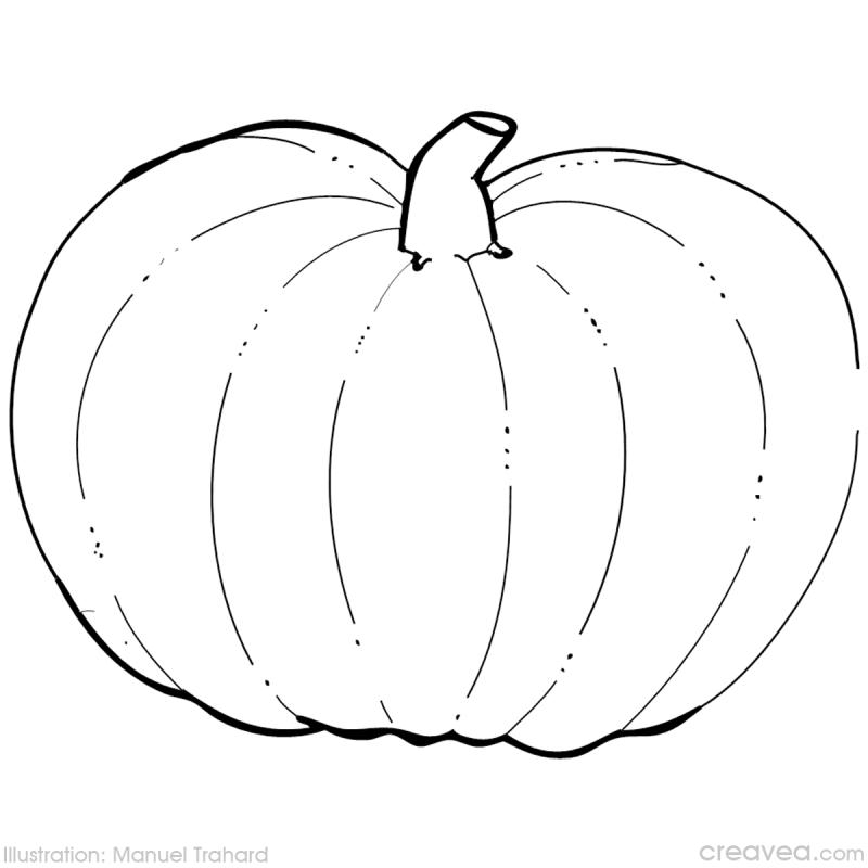 Coloriage d'une citrouille entourée de feuilles et d'éléments naturels