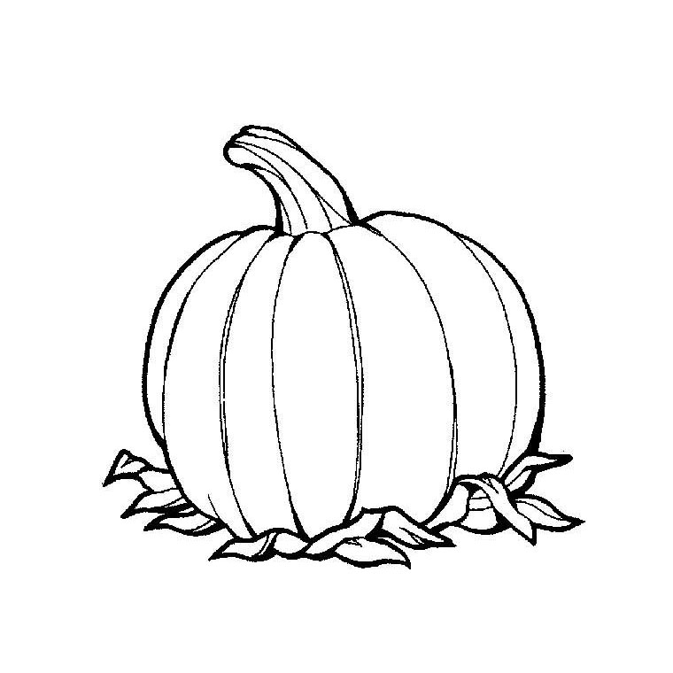 Coloriage d'une citrouille souriante entourée de feuilles