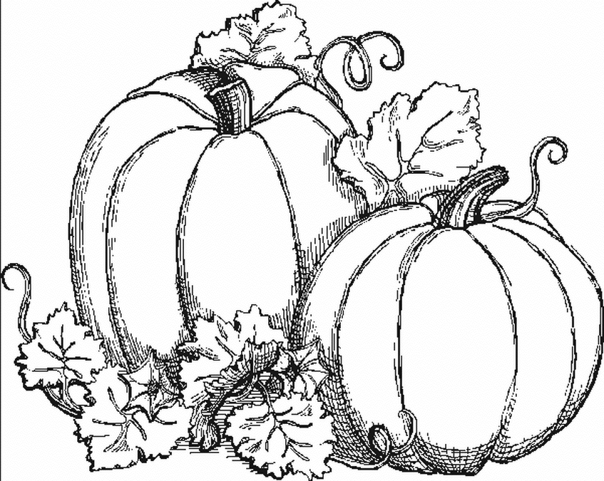 Coloriage d'une citrouille souriante dans un décor automnal