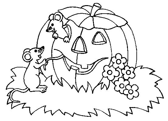 Coloriage d'une citrouille dans un décor automnal