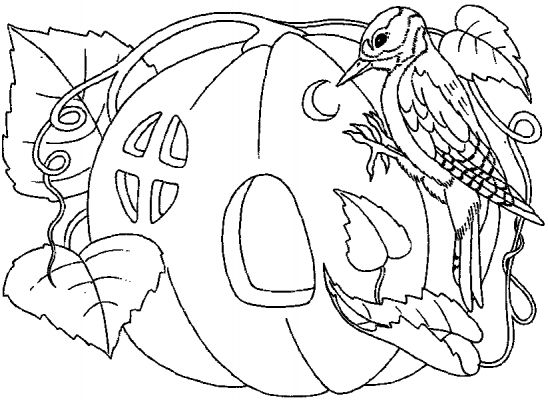 Coloriage d'une citrouille souriante dans un décor automnal
