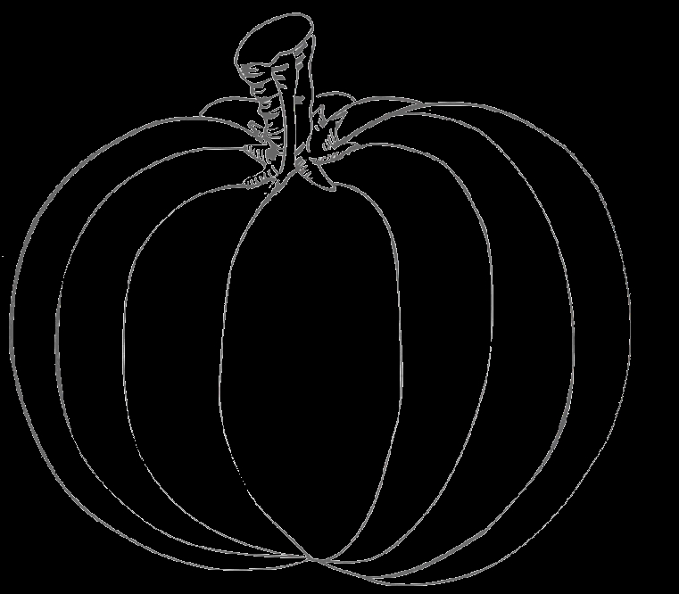 Coloriage d'une citrouille originale entourée de feuilles