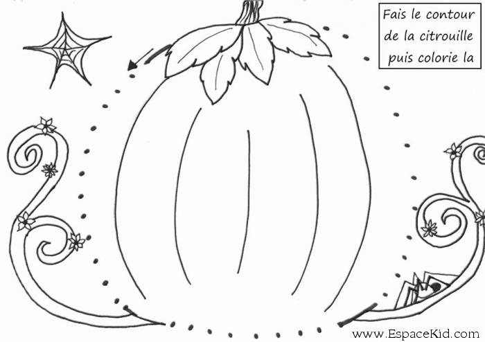 Coloriage d'une citrouille originale sur fond de décor automnal