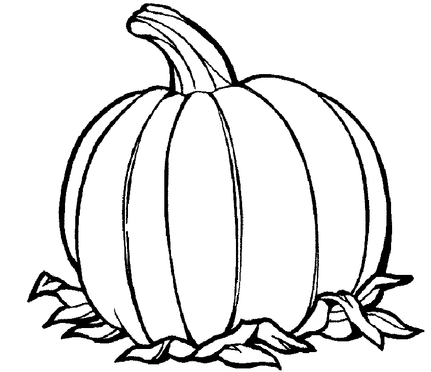 Coloriage d'une citrouille décorative sur fond simple