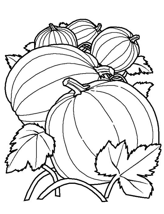 Coloriage d'une citrouille au design original sur fond blanc