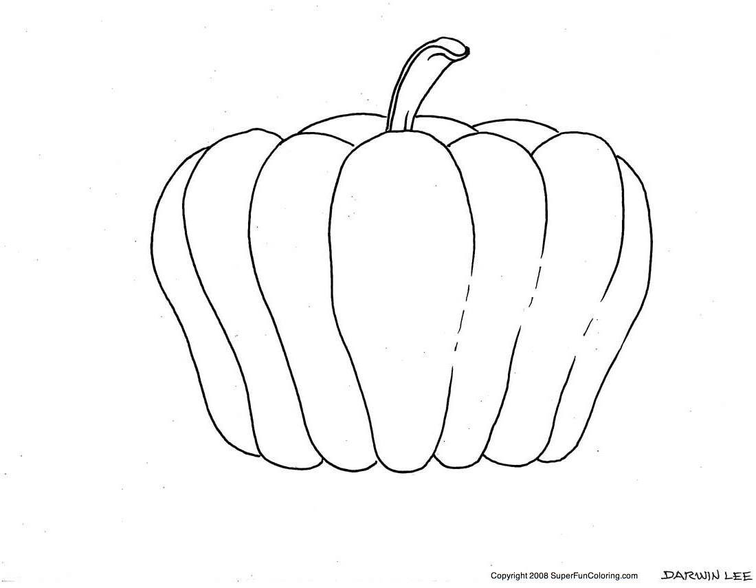Coloriage d'une citrouille entourée de feuilles et de détails naturels