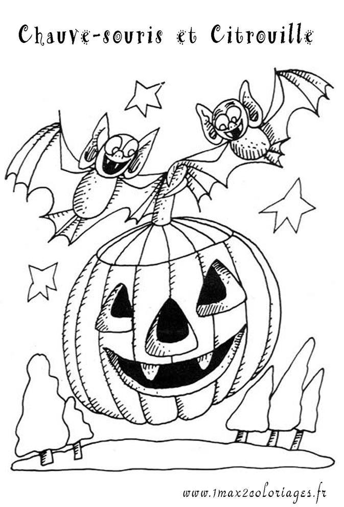 Coloriage d'une citrouille originale entourée de feuilles