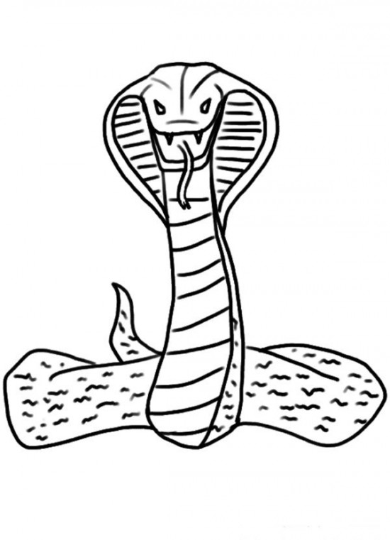 Coloriage d'un cobra majestueux sur fond simple