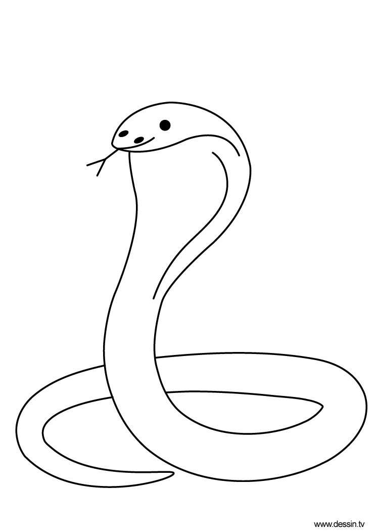 Coloriage d'un cobra majestueux enroulé sur un rocher