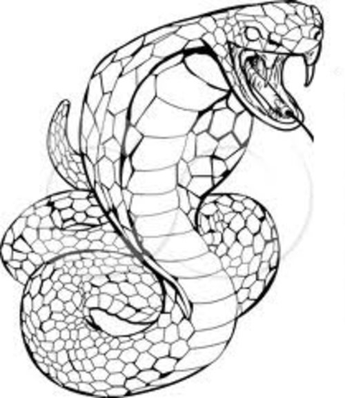 Coloriage Cobra #3697 à imprimer Coloriage Cobra #3697 à imprimer