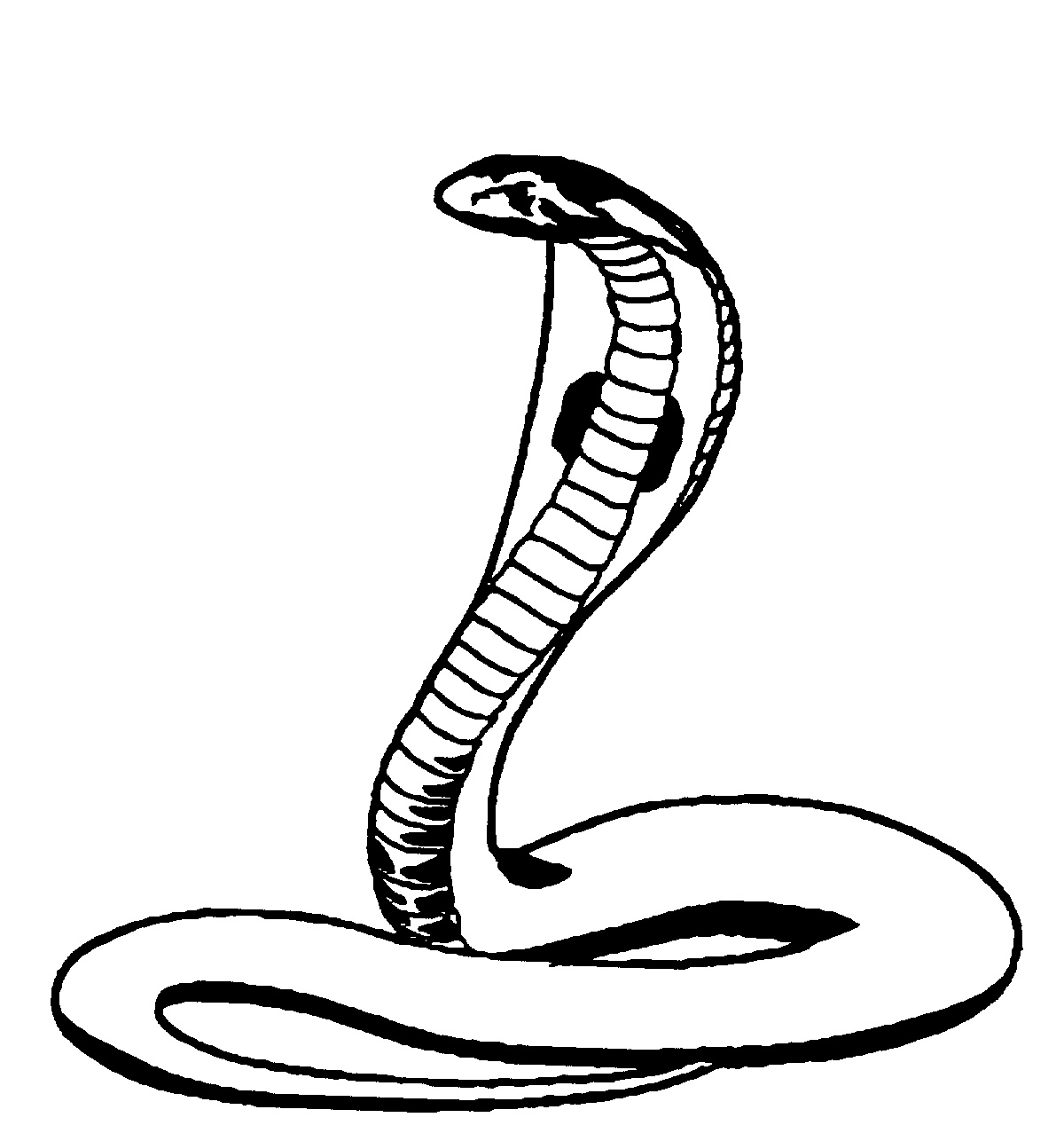 Coloriage d'un cobra majestueux dans un décor naturel