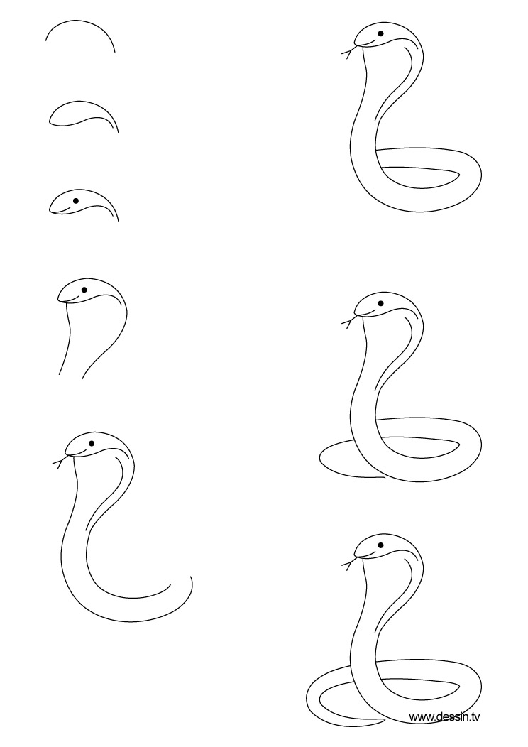 Un cobra enroulé sur un fond de roches et de végétation
