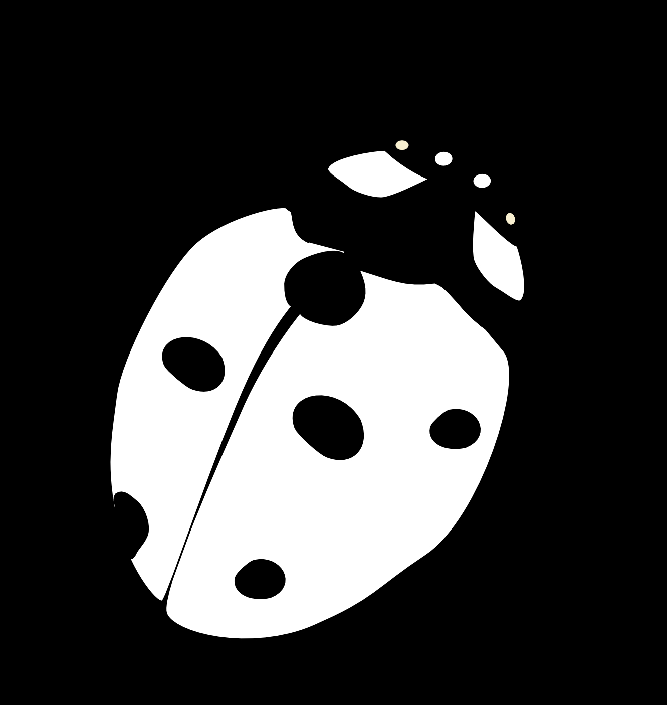 Coloriage d'une coccinelle sur une feuille verte