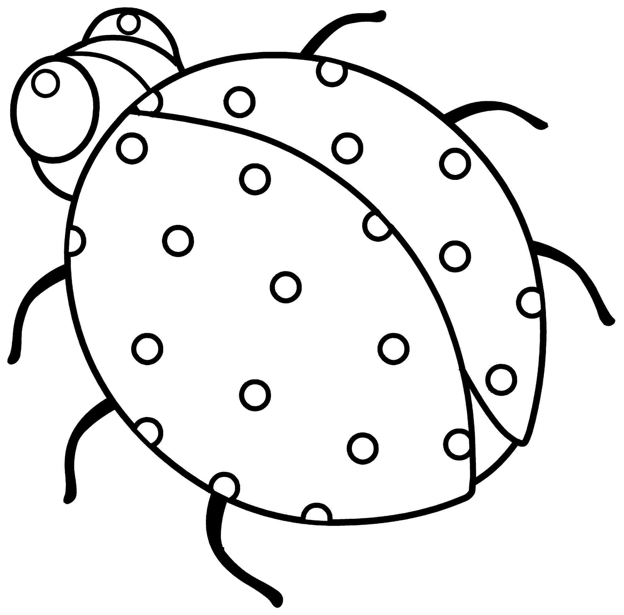 Coloriage d'une coccinelle sur une feuille verte