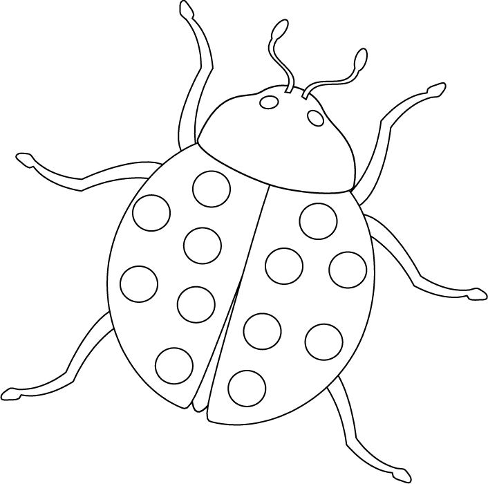 Coloriage d'une coccinelle joyeusement posée sur une feuille verte