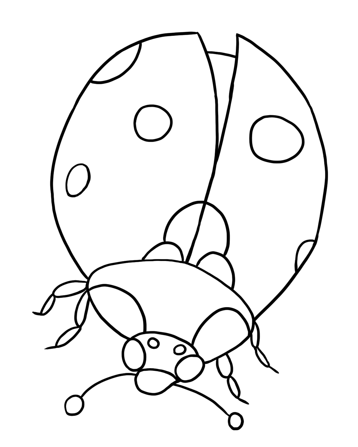 Coloriage d'une coccinelle sur une feuille verte